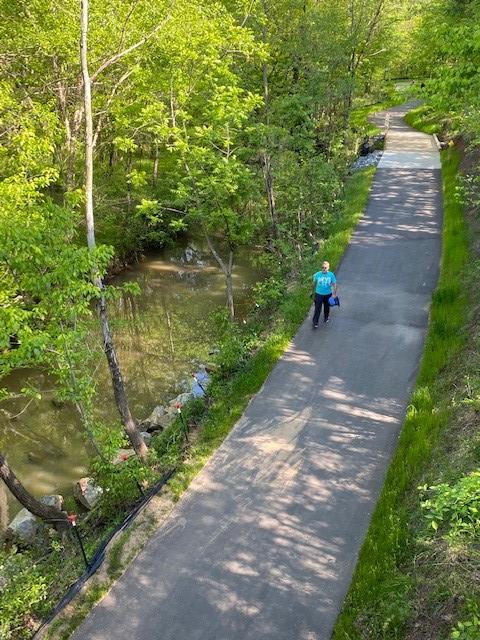 Picture of Afton Run Greenway
