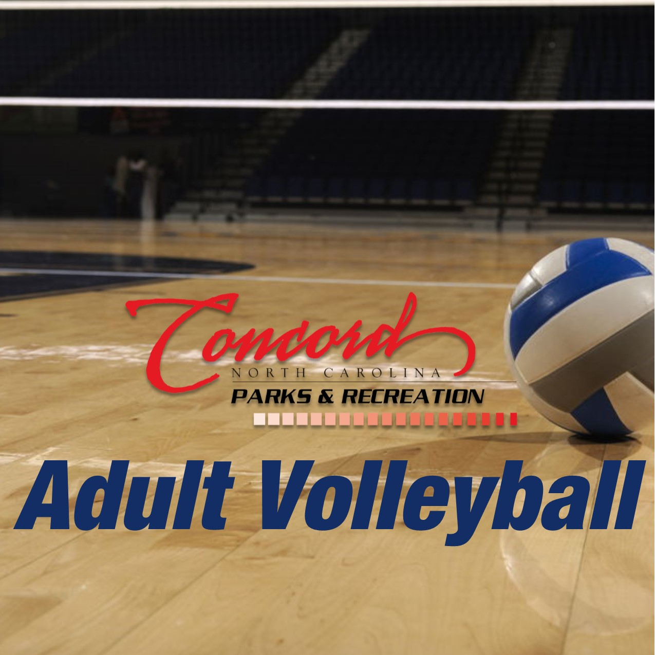Adult Volleyball 