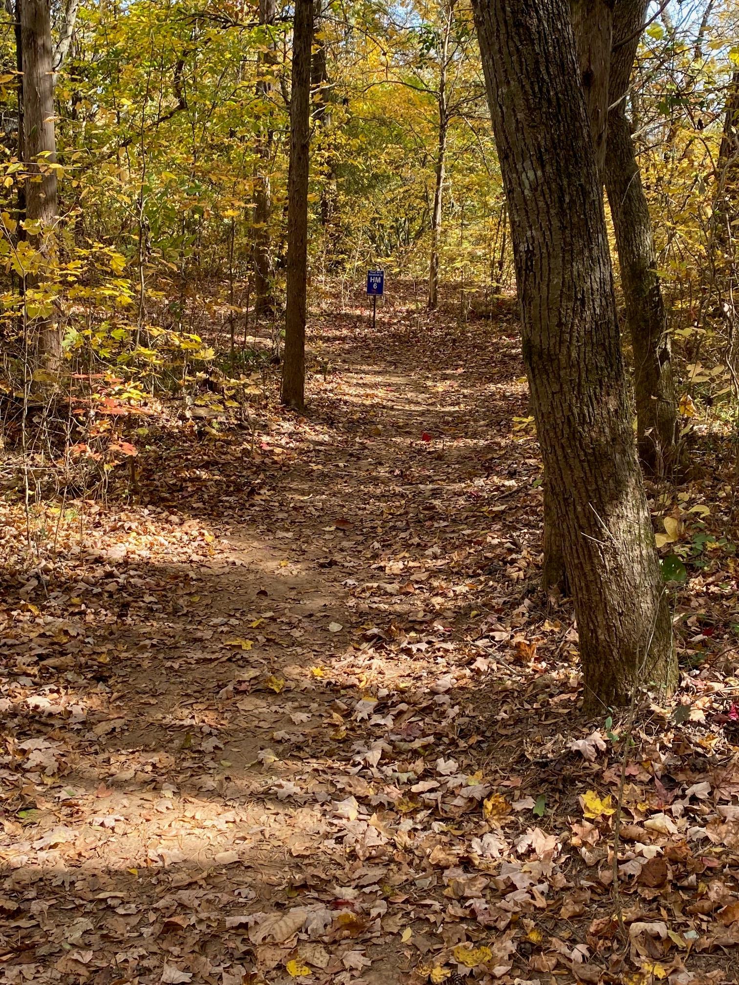 Picture of natural trail along The Mills at Rocky River Greenway