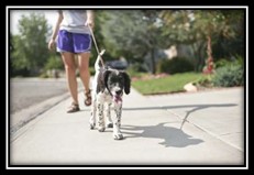 Image result for walking sidewalk neighborhood