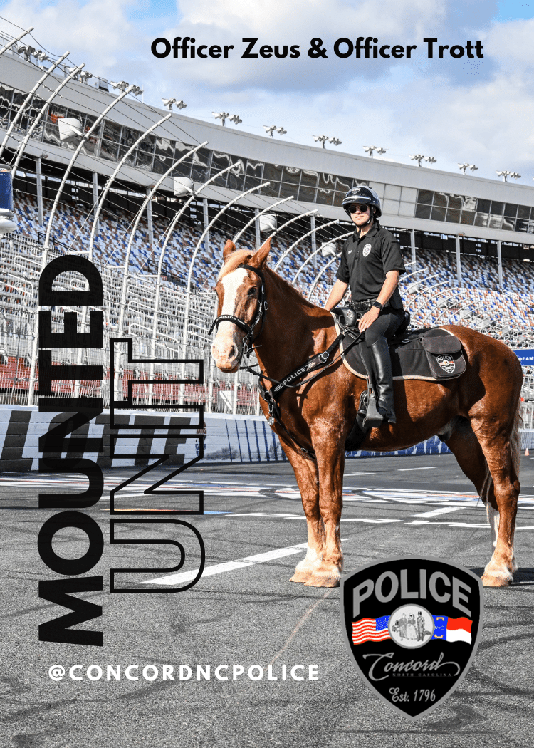 Mounted Patrol 